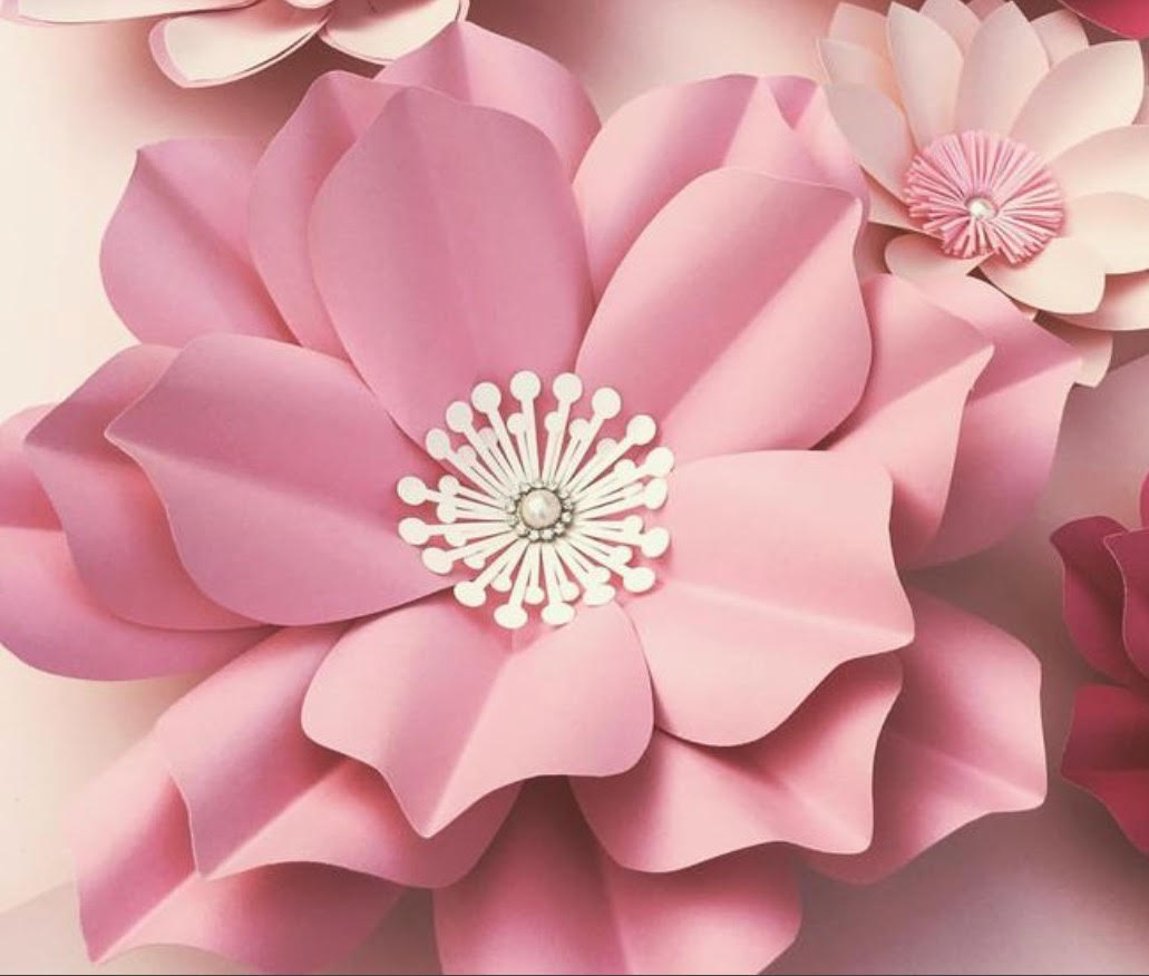 flower.jpg